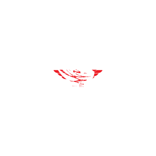 kallistoo's emblem