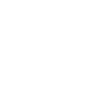robox291's emblem
