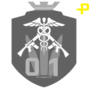 HKTEAM1ST's emblem