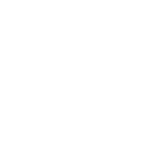 Viobey's emblem