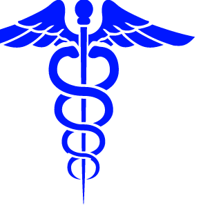 61NOMAD's emblem