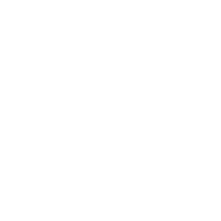 PozzatoV8's emblem