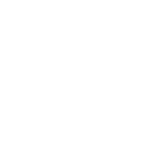 q9arl's emblem
