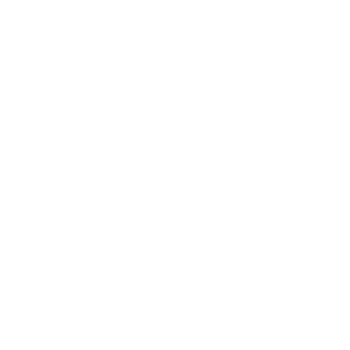 iGsection's emblem
