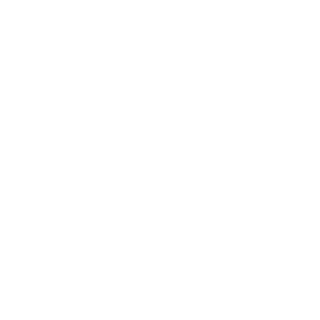 AviatorGator11's emblem