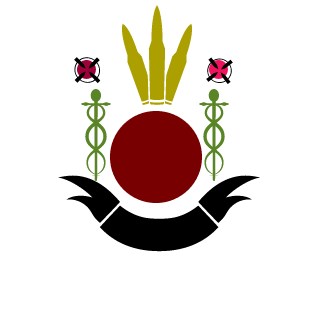 XxsalascesxX's emblem