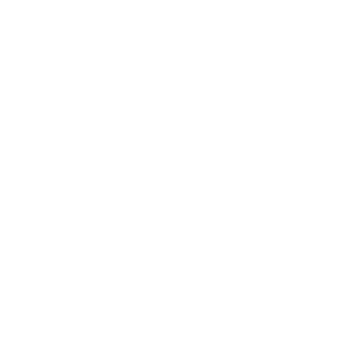 MisterSir1's emblem