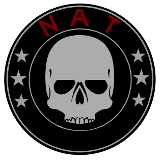 Nightmare Airsoft Team's emblem
