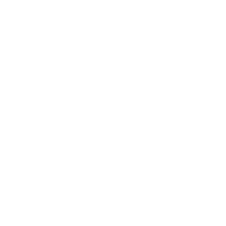 iPoke's emblem