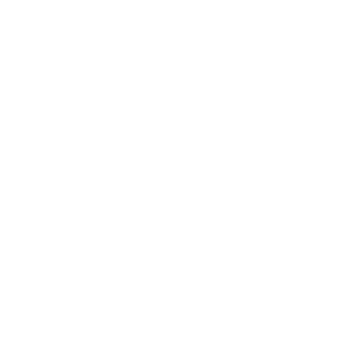 schwarzlicht_90's emblem