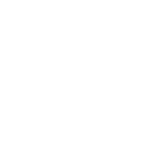 DT--Xavler's emblem