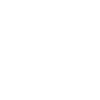 The_InvaDa's emblem