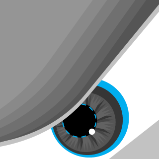 NatManBazuka's emblem