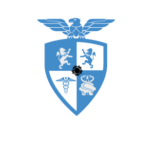 ochirbat100's emblem