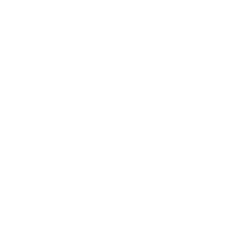 TW70133's emblem