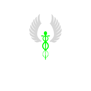 J4v1xu's emblem