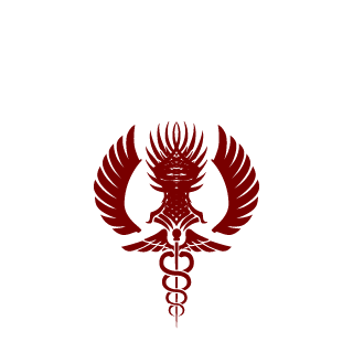 h8even's emblem