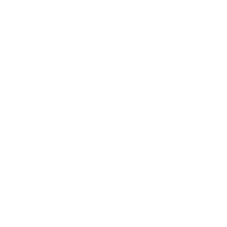 Domi144's emblem