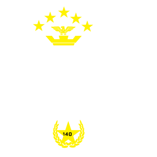 Pegaso55's emblem