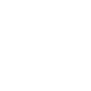 1Bummer's emblem