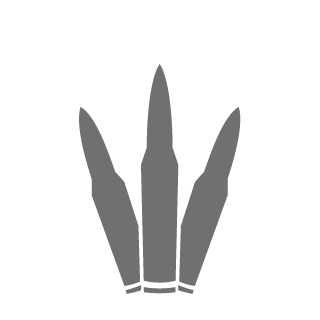 5sagnw's emblem