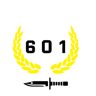 TheRavenVI's emblem