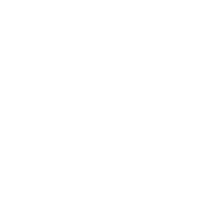 Neoximus228's emblem