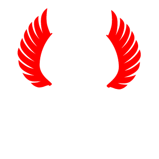 Saigo877's emblem
