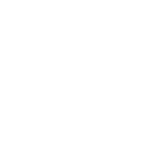 distractingmoose's emblem