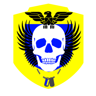 RE1KER_UA's emblem
