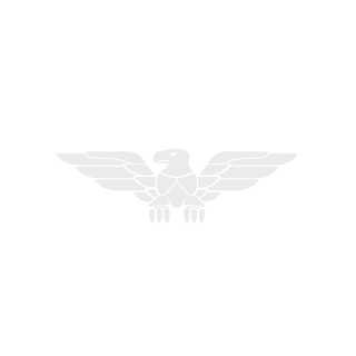 dot571's emblem
