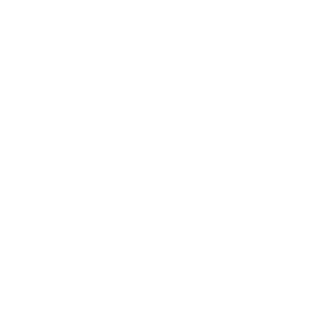 spectialize's emblem