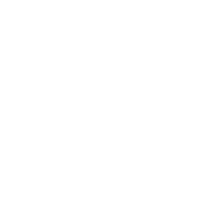 skinnerboy's emblem