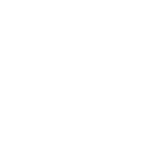 Castrol1L's emblem