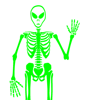 Sebas17033's emblem
