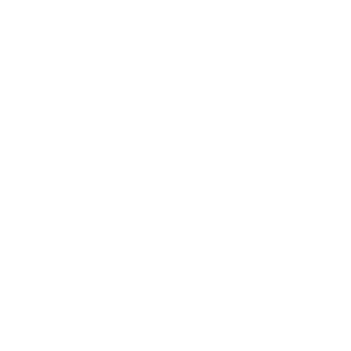 gamingmaster189's emblem