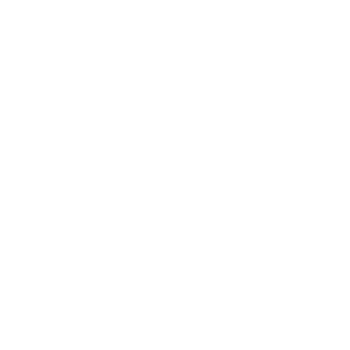 somacore's emblem