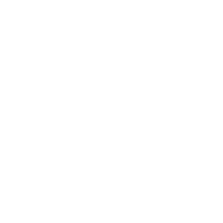 Leviking1000's emblem