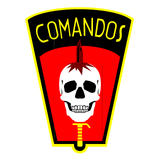 SD S4FAD1N's emblem