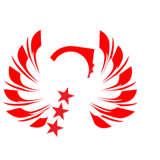 Darkpacific's emblem