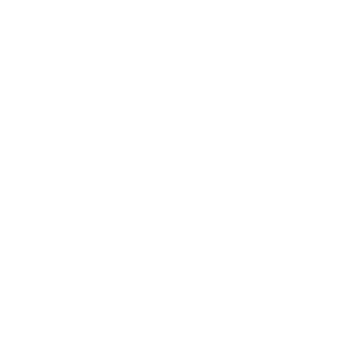 50AE-Supermario's emblem