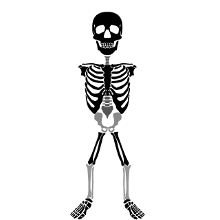 skeba1985's emblem