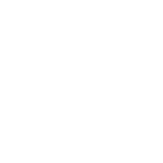 Squad's emblem