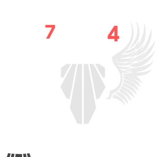 4EGEVARA74's emblem