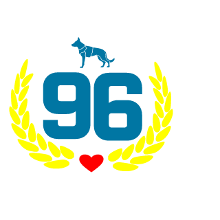 Rmva's emblem