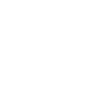 2altan's emblem