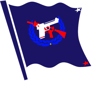 lifeguard2018USA's emblem