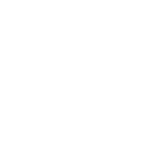 zigizork's emblem