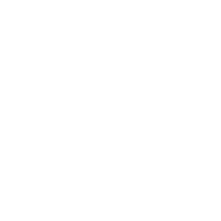 DisKinqs's emblem