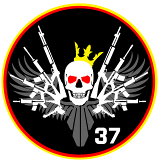 Tmsracing37's emblem